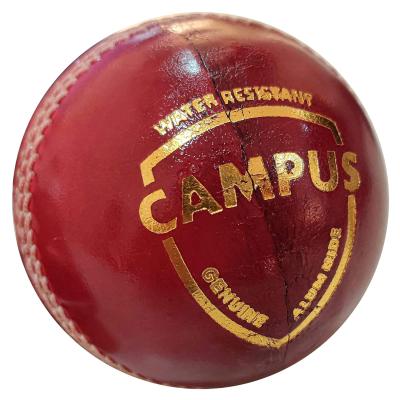Cricket Ball